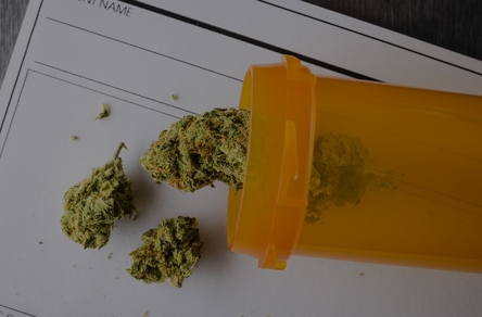 Marijuana on the table